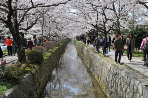 The Philosopher's Walk(Tetsugaku no Michi),way to Ginkakuji