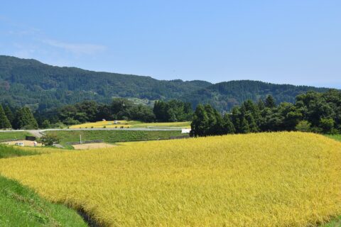 The Noto Peninsula is a peninsula that projects north into the Sea of Japan from the coast of Ishikawa Prefecture in central Honshū, the main island of Japan. This nothern part of Ishikawa prefecture has astonishing sea