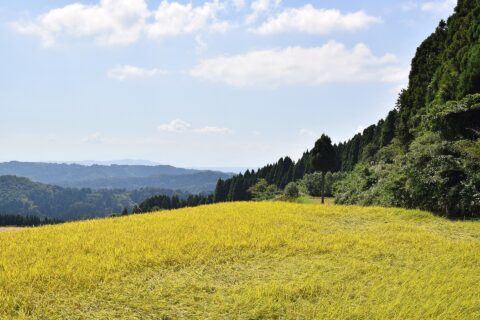 The Noto Peninsula is a peninsula that projects north into the Sea of Japan from the coast of Ishikawa Prefecture in central Honshū, the main island of Japan. This nothern part of Ishikawa prefecture has astonishing sea