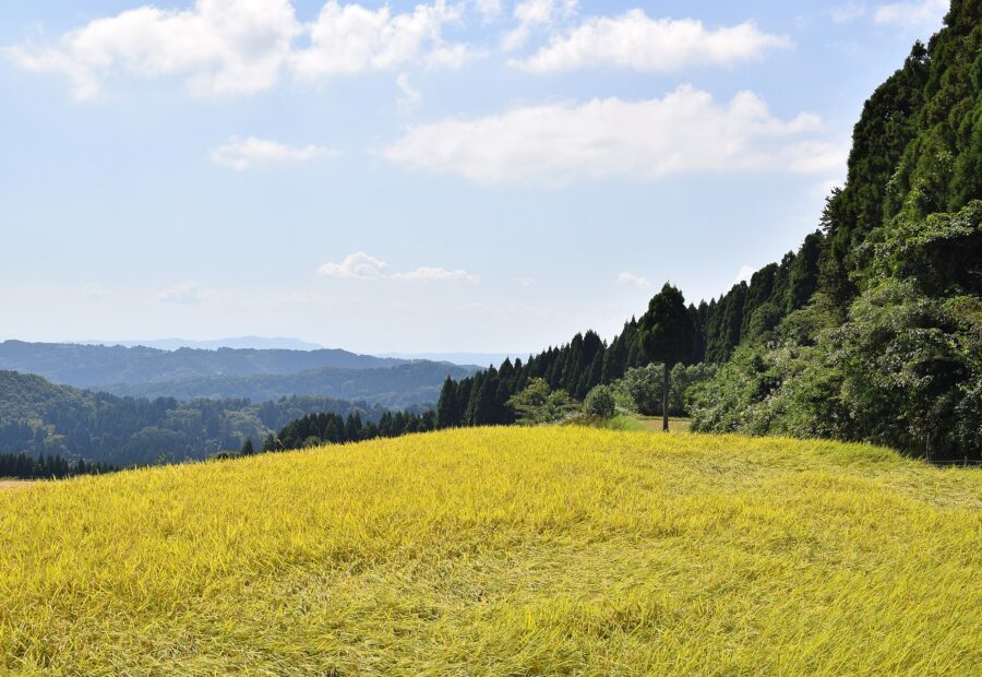 Noto Peninsula, Ishikawa