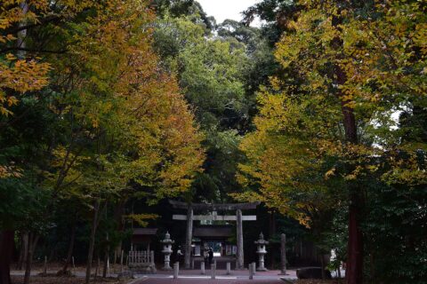 砥鹿神社参道