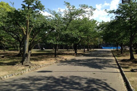 徳島中央公園