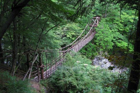 奥祖谷二重かずら橋 男橋（徳島県三好市）