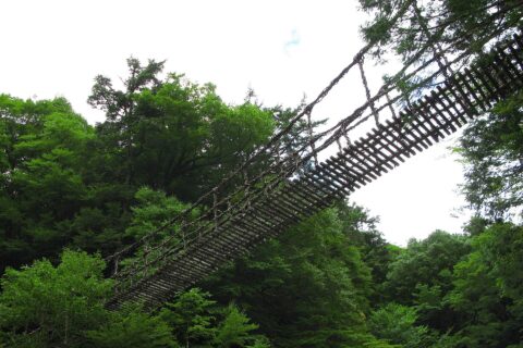 奥祖谷二重かずら橋 男橋（徳島県三好市）