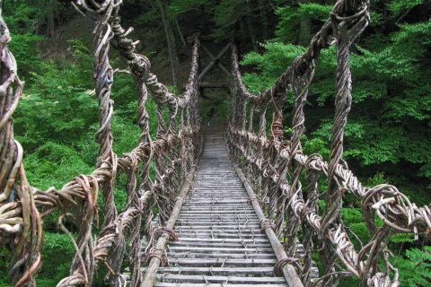 ​奥祖谷二重かずら橋 男橋（徳島県三好市）
