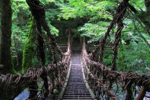 ​奥祖谷二重かずら橋 女橋（徳島県三好市）