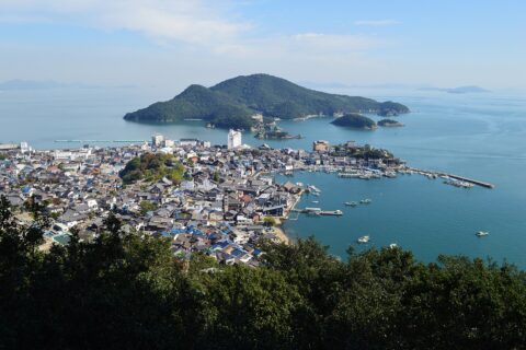 鞆の浦 (医王寺太子殿より)