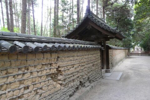 Toshodai-ji & Yakushi-ji — photo 9