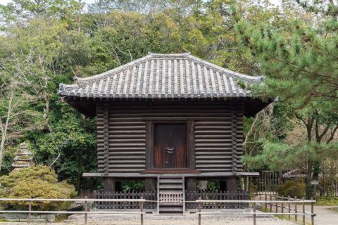 Toshodai-ji & Yakushi-ji — photo 10