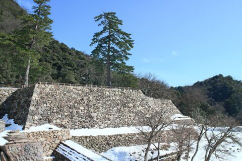 Tottori Castle
