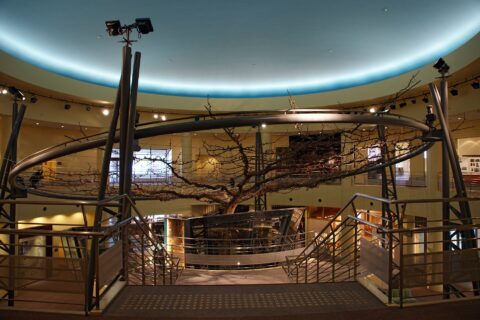Tottori Nijisseiki Pear Museum in Kurayoshi, Tottori prefecture, Japan