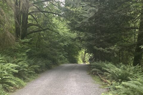 Photo I took at Tsubaki Grand Shrine of America before closing
