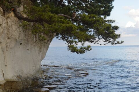 石川県鳳珠郡能登町にある九十九湾遊歩道。