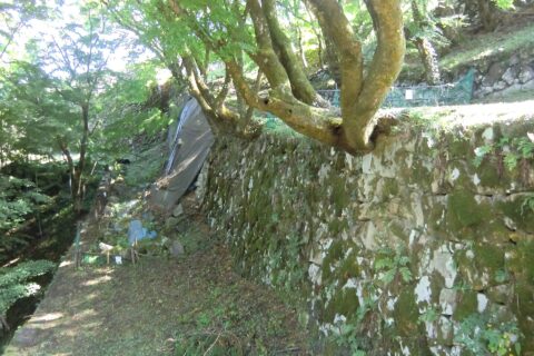 津和野城（津和野町）の腰郭跡と二の丸石垣。