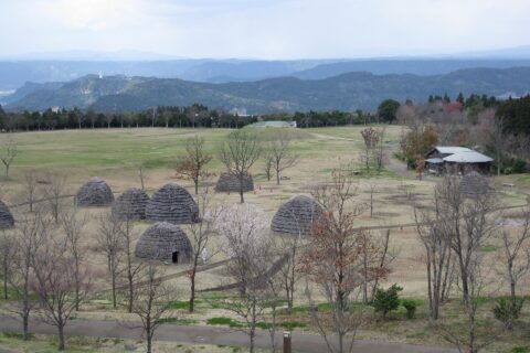 ​鹿児島県の上野原遺跡で復元された縄文時代の集落
