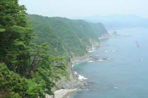 ja:岩手県ja:下閉伊郡のja:鵜巣断崖（鵜ノ巣断崖）（2005.09撮影 Hirai Kimito）