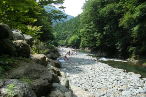 中津川上流の様子