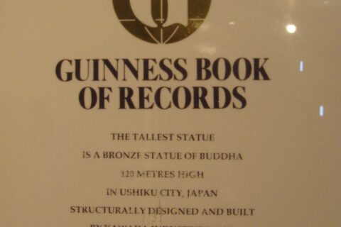This is the Guinness Book that proves that Ushiku Daibutsu is the tallest statue in the world.
