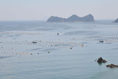 Pearl farm of Uwa Sea