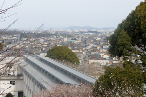 This is a scene from Tamaru castle in Tamaki, Mie, Japan.