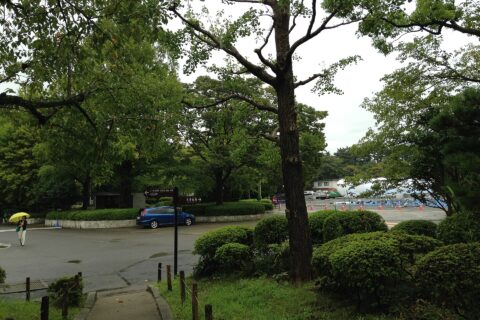 駿府城公園