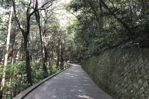 岩国城天守閣付近の様子