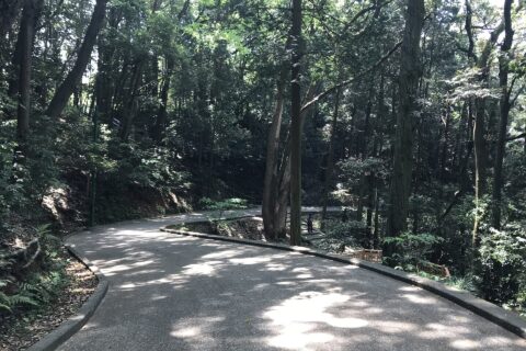 岩国城天守閣付近の様子