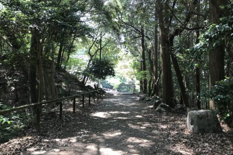 岩国城空堀付近の様子