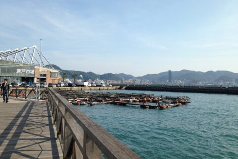 唐戸市場の遠景