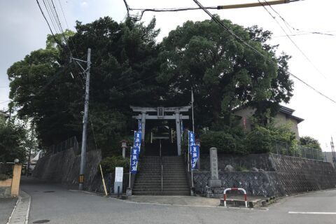 菊池神社の遠景