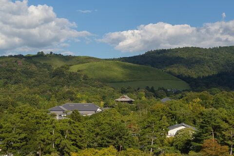 奈良県庁から見る若草山と奈良公園