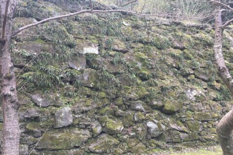 和歌山城の石垣（野面積み）