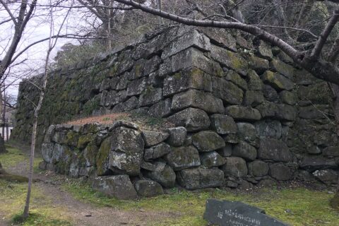 和歌山城の石垣（打込みハギ）