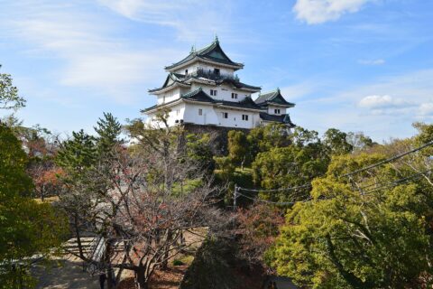 ​和歌山城 本丸御殿跡から望む天守