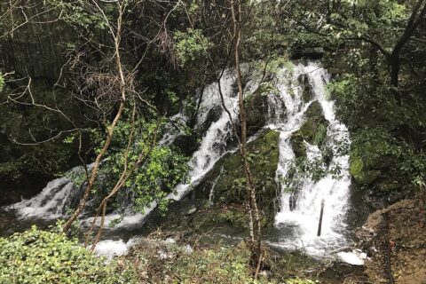 常盤公園・常盤湖の排水口