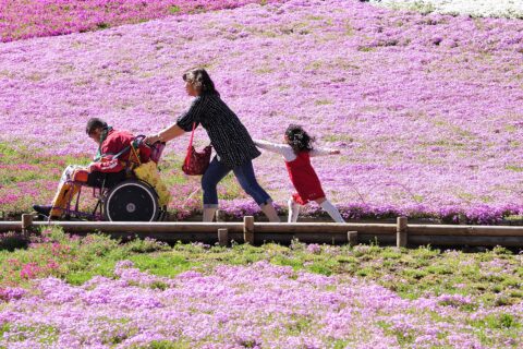 Woman pushes a wheelchair, Hitsujiyama Park, Japan.