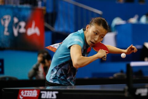_K0K9095