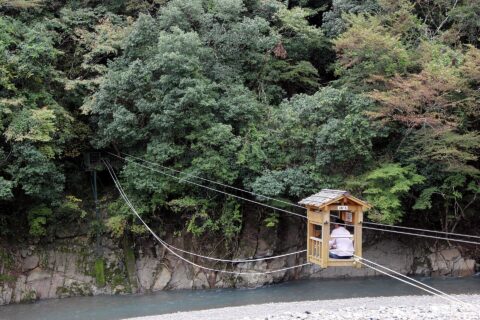 十津川村の野猿（観光用）