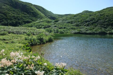 手前が焼石湖。右方のピークが焼石岳