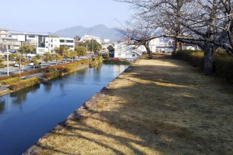 八代城の北東の堀を城壁の上から。