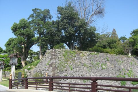 投稿者が撮影