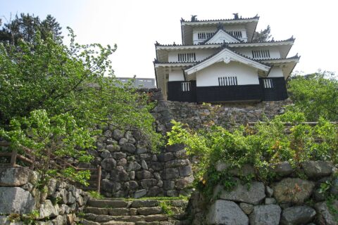吉田城。愛知県豊橋市今橋町