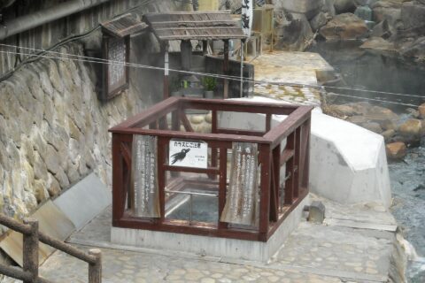 湯の峰温泉湯筒前で撮影