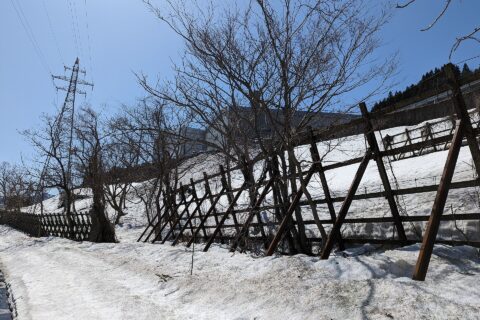 Yuzawa