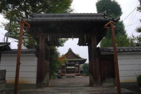 Zeze castle jungido omotemon