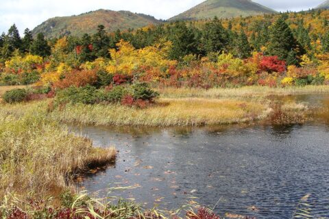 青森県の睡蓮沼（すいれんぬま）と北八甲田山の山々