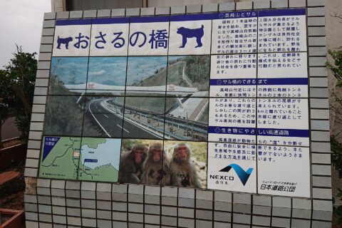 別府サービスエリアに設置された「おさるの橋」に関する解説。