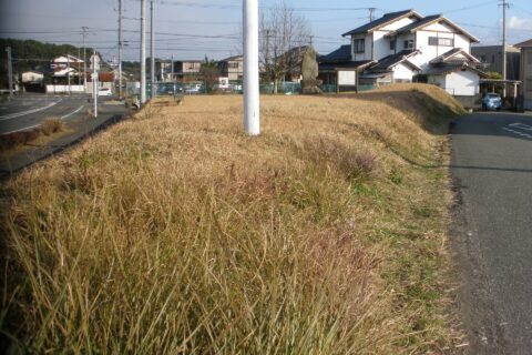 現存する部分です。奥の方に案内板が有ります