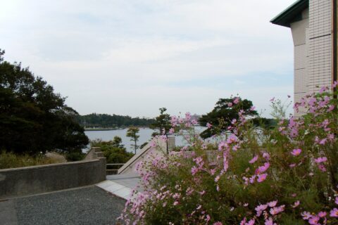 ときわ公園 Tokiwa Park