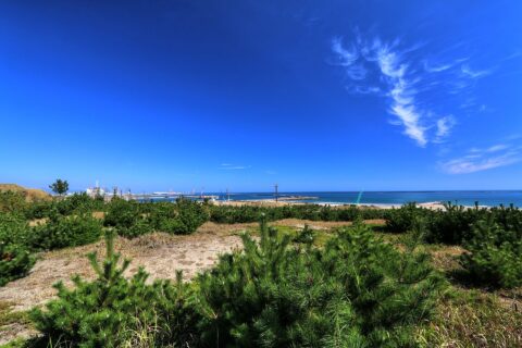 ひたち海浜公園